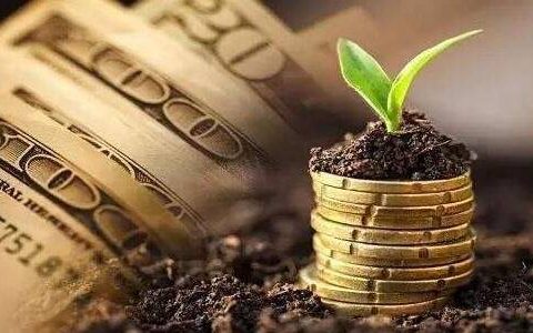 5.2金价走势解析